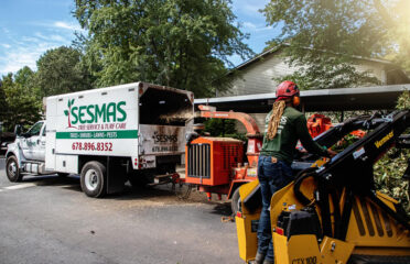 Sesmas Tree Service LLC